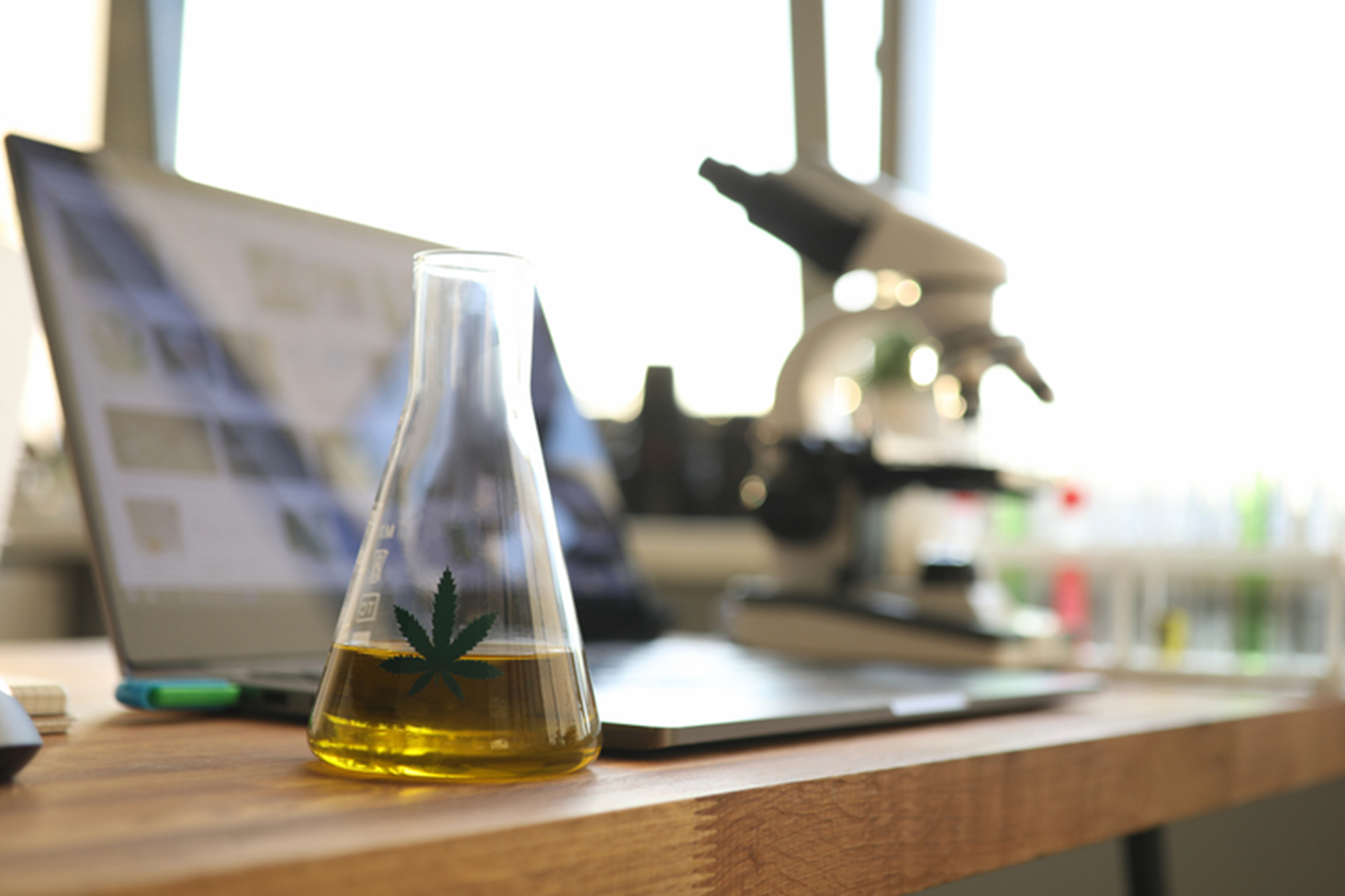 a beaker with yellow liquid in it next to a laptop