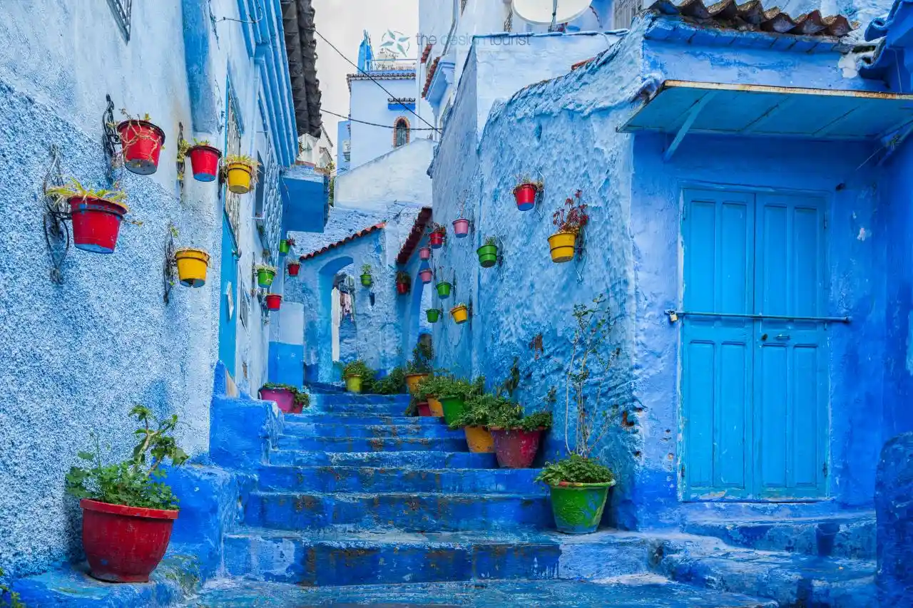 a blue painted buildings with pots of plants
