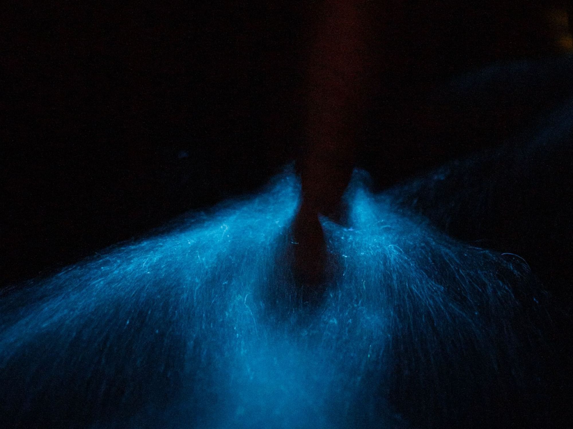 a blue water spouting out of a black background