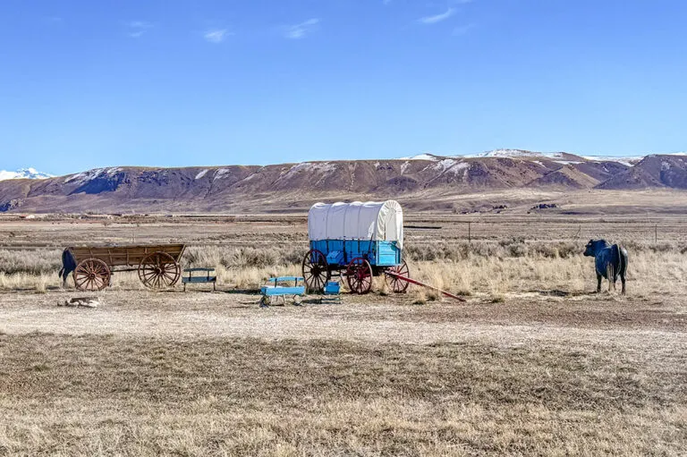a wagon in a field