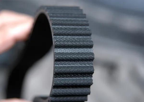a close-up of a black belt