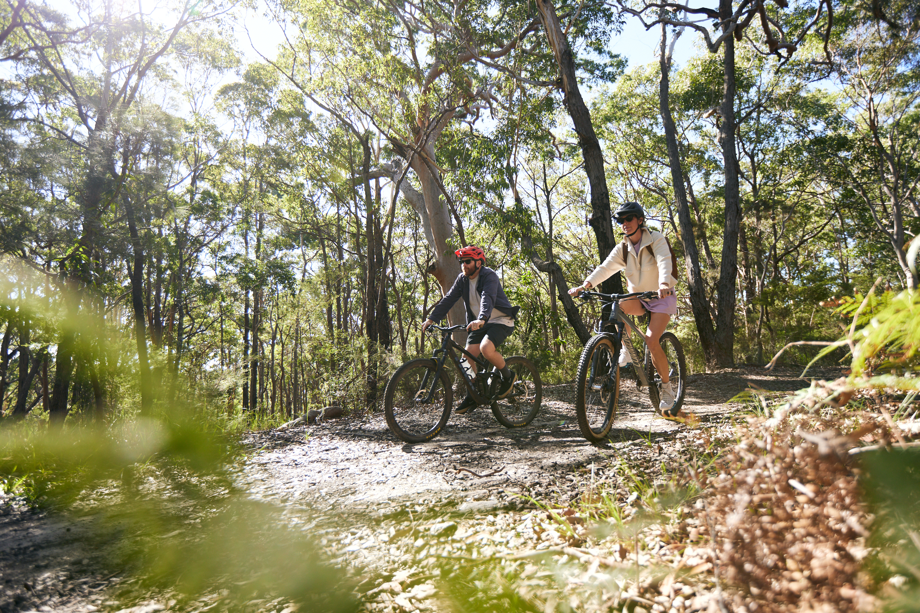 a couple of people riding bikes on a trail in the woods
