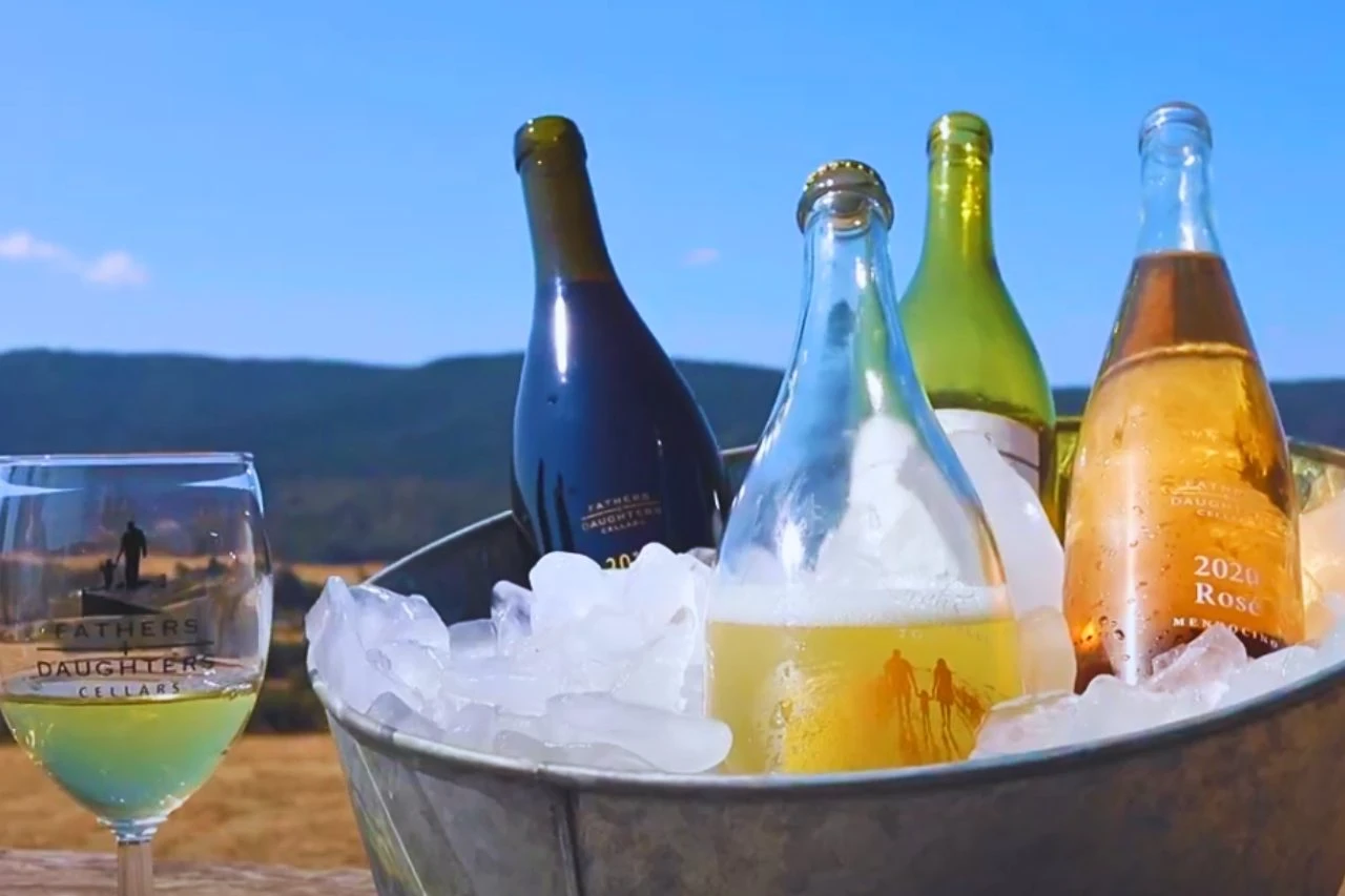 a bucket of wine and bottles