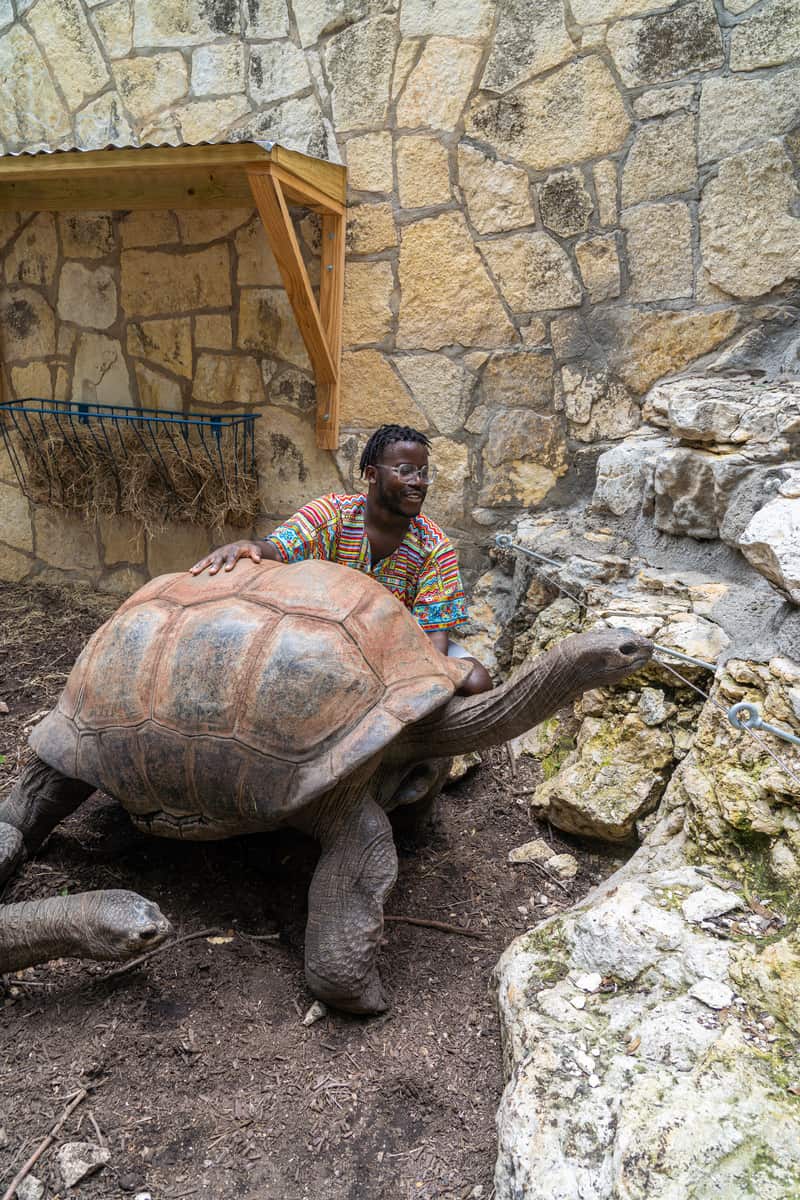 a man with a tortoise
