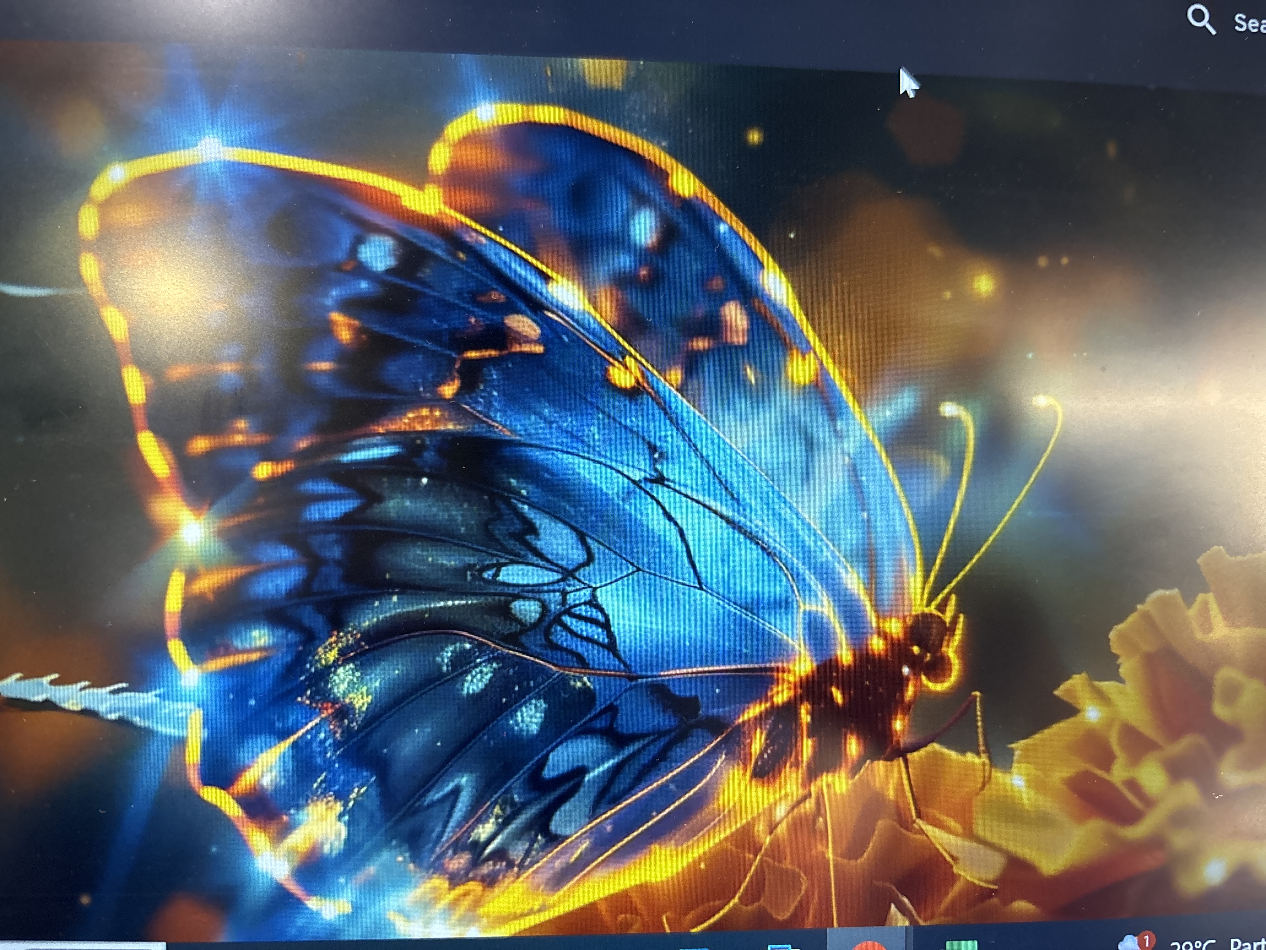a computer screen shot of a butterfly