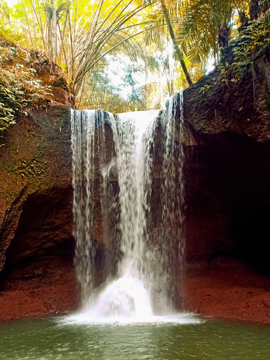 a waterfall in a forest