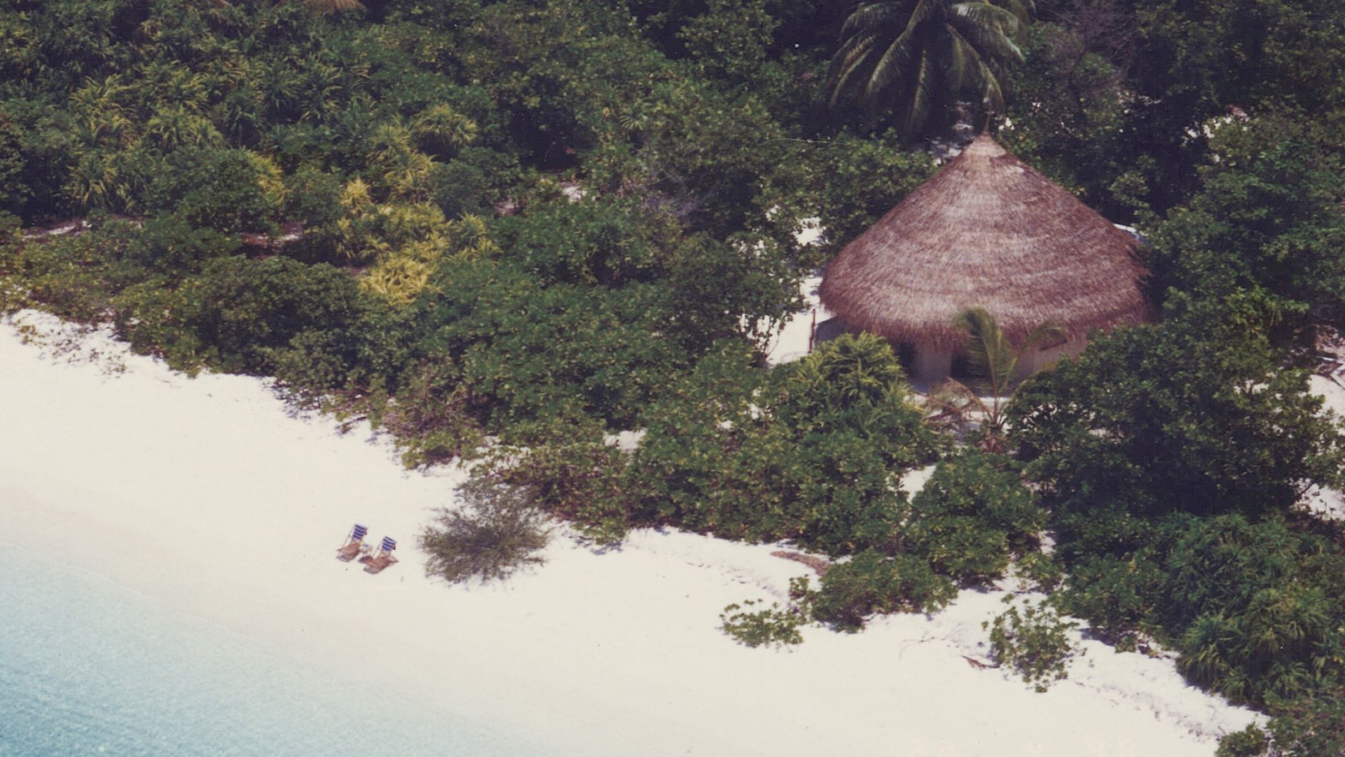 a hut on a beach with chairs and trees