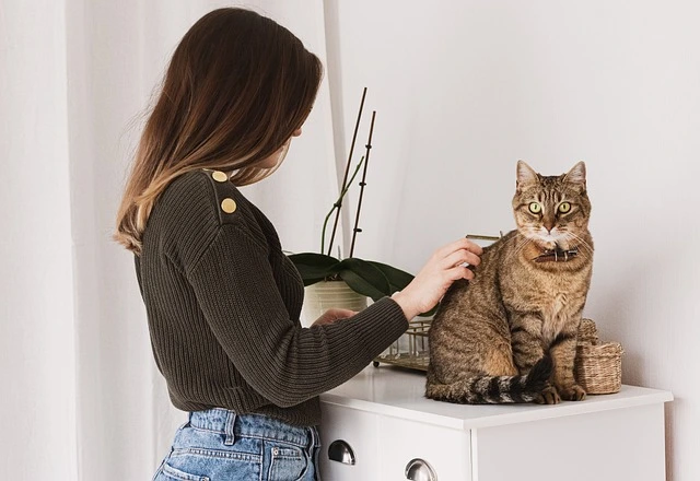 a woman petting a cat