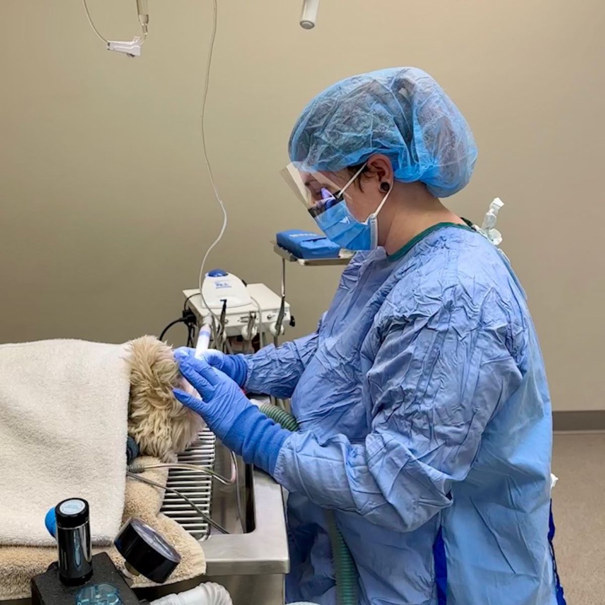 a woman wearing surgical scrubs and mask holding a syringe to a dog