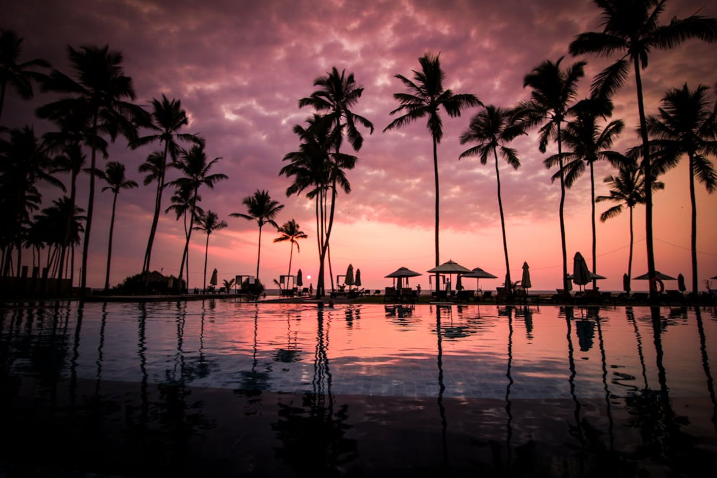 a pool with palm trees and umbrellas