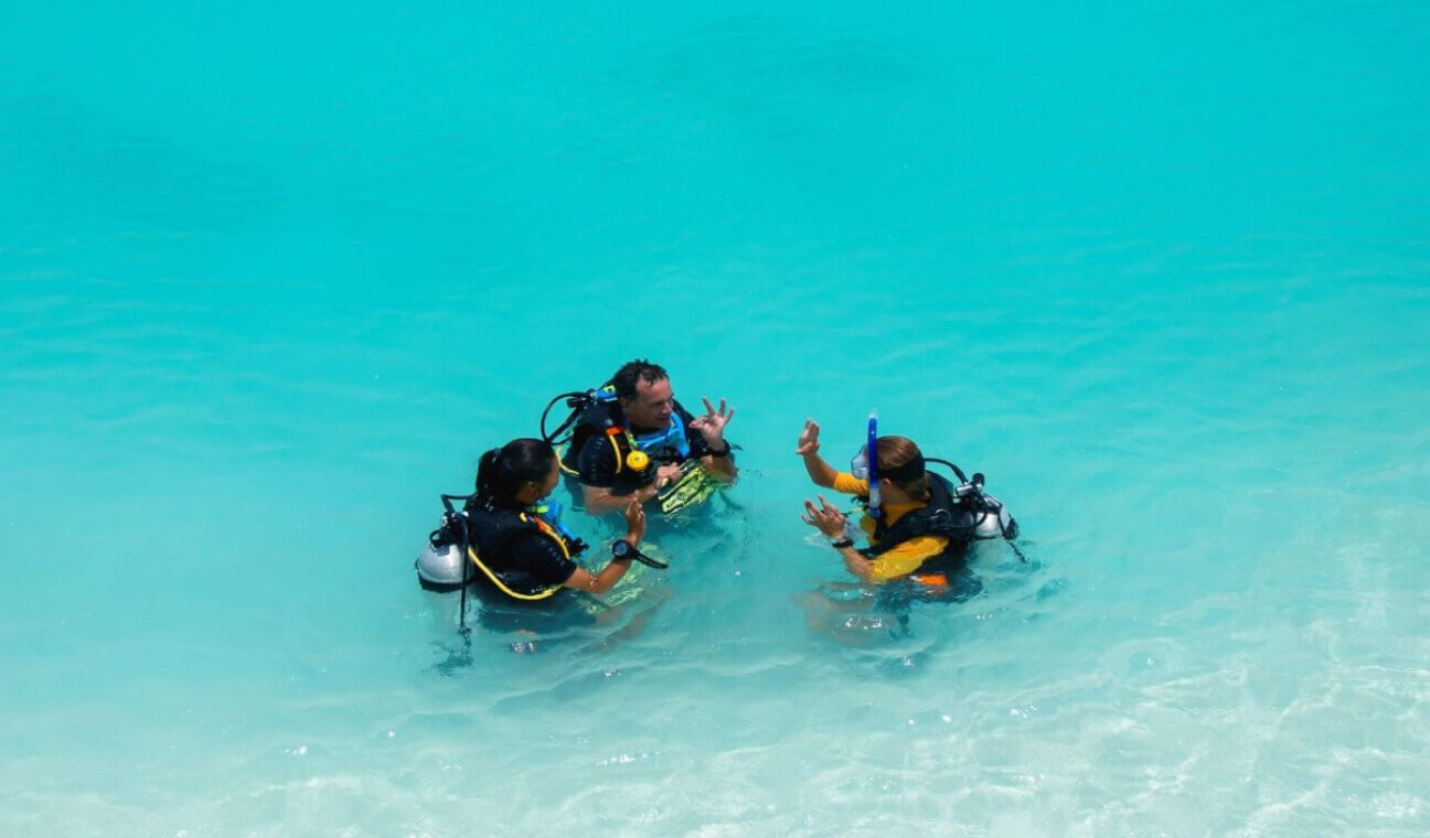 a group of people in scuba gear in the water