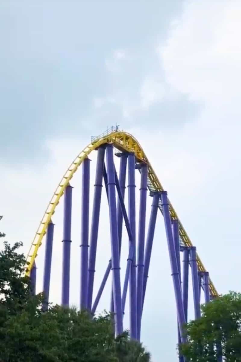 a roller coaster with a yellow and purple track