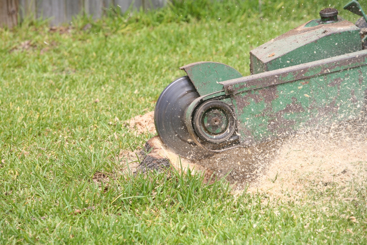 a machine cutting grass with a sawdust