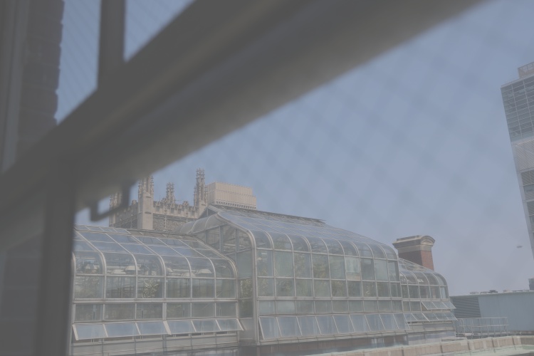 a glass building with a building in the background