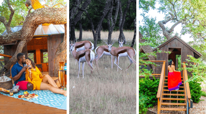 a collage of a woman lying on a blanket in front of a group of gazebos