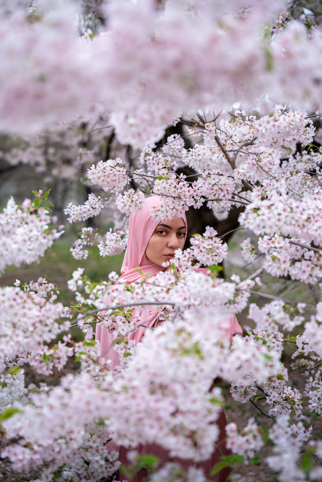 a woman in a pink scarf standing in a tree with white flowers