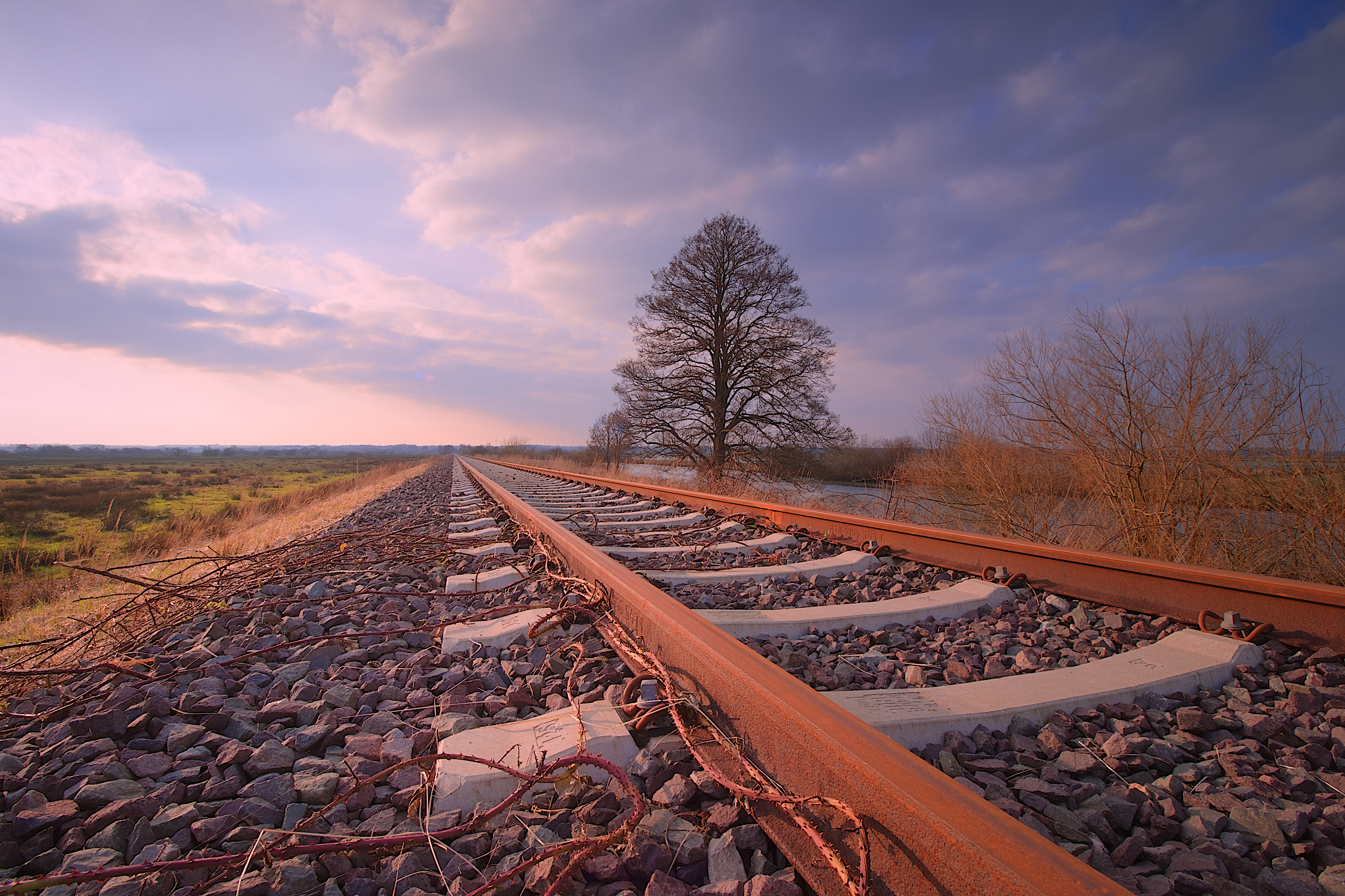 a train tracks with a tree in the distance