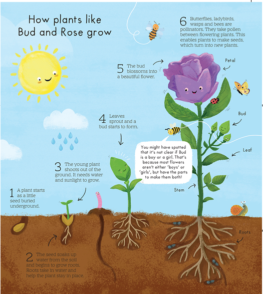 a poster of a plant growing from soil