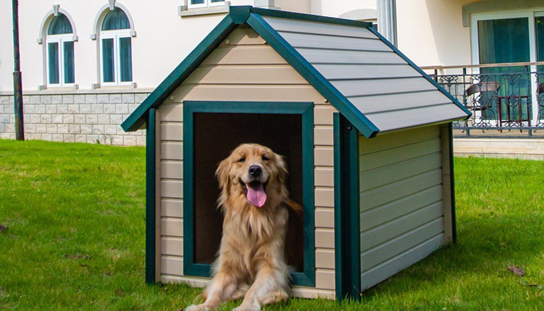 a dog sitting in a dog house