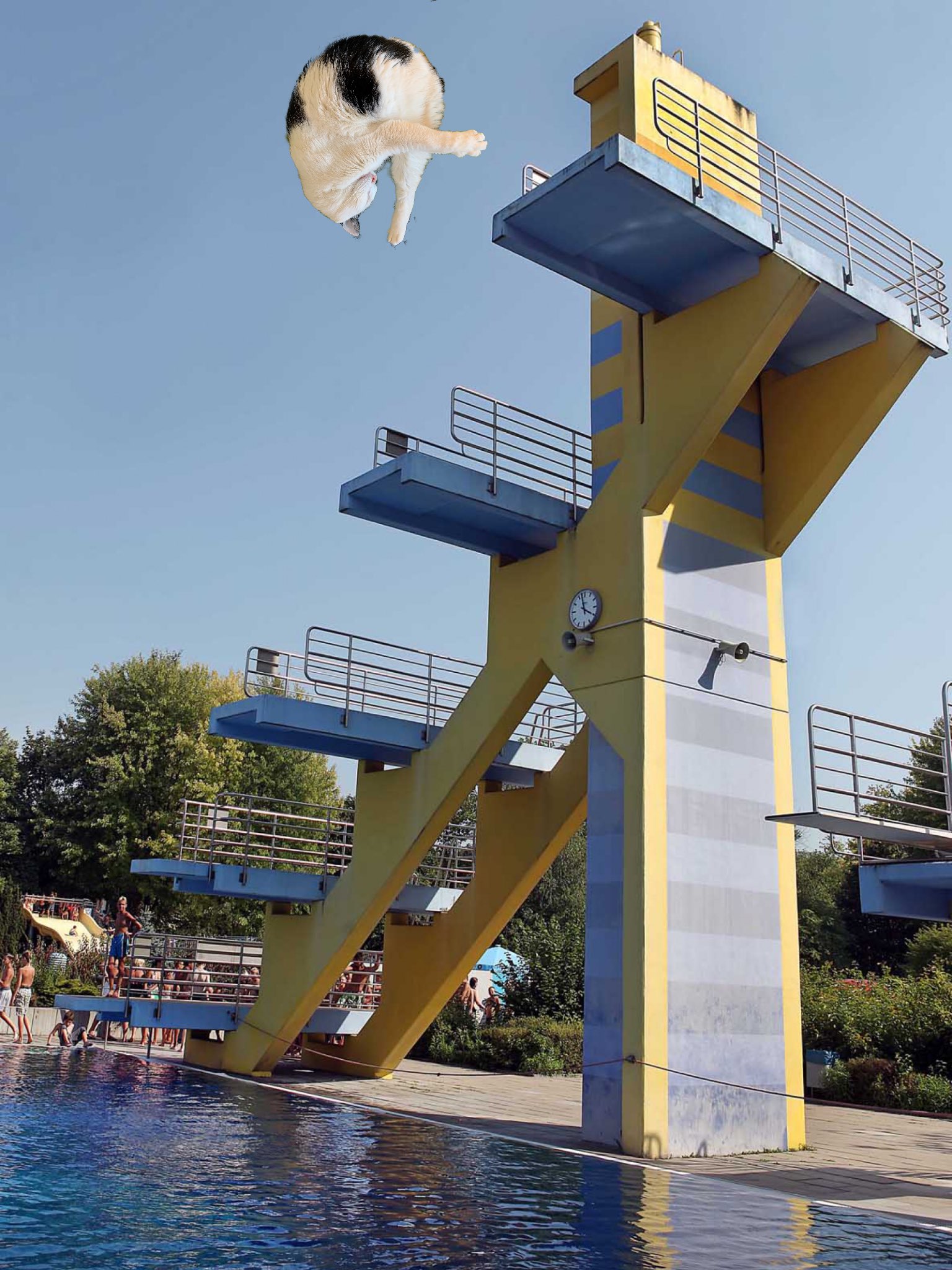 a diving board with a cat in the air