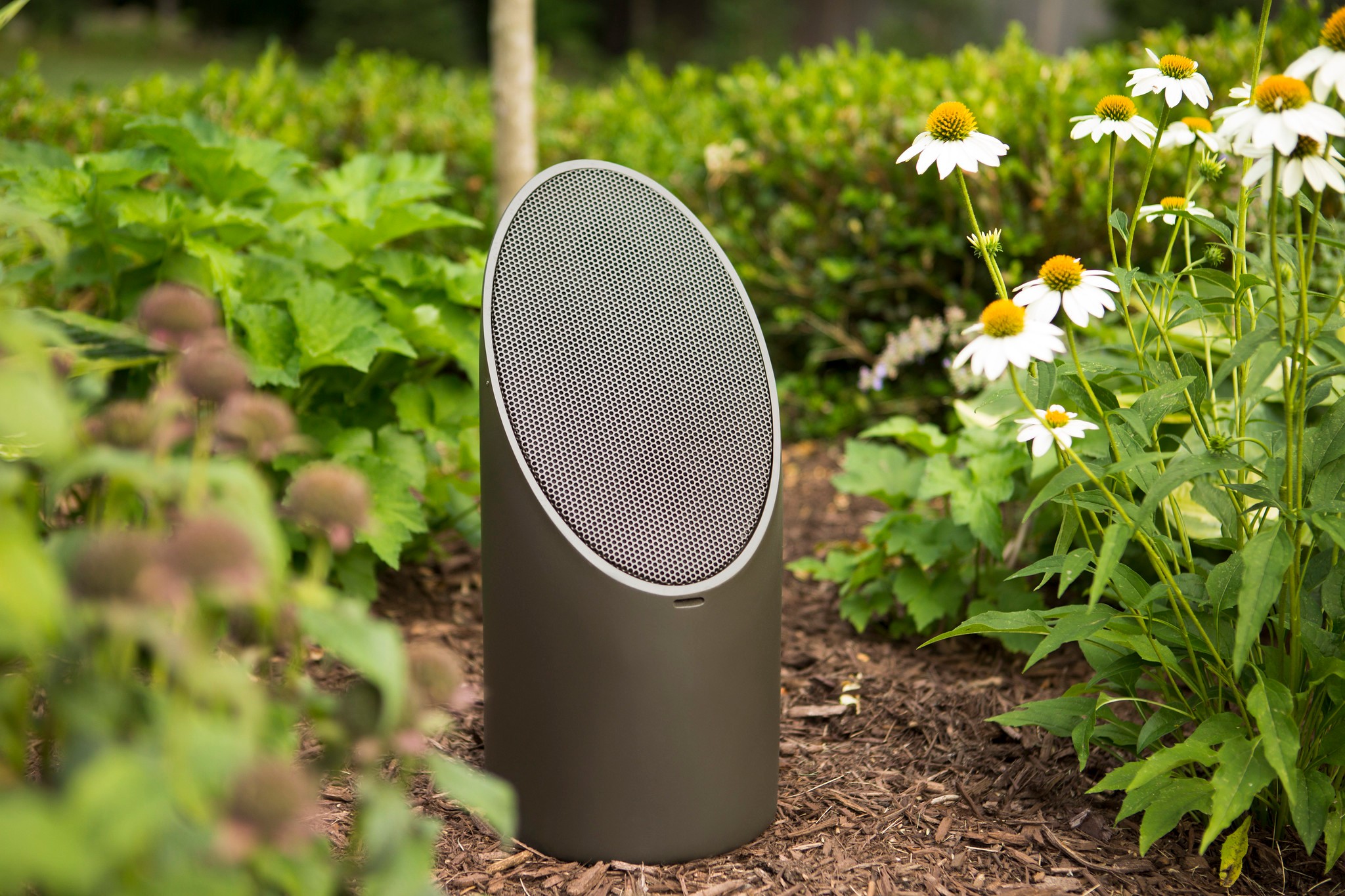 a speaker in a garden