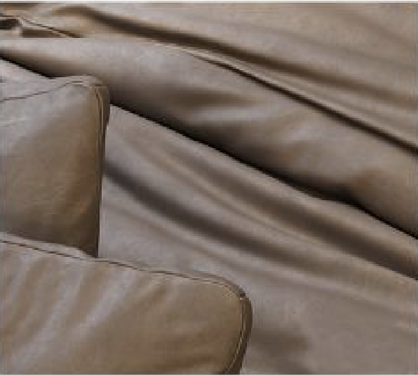 a close-up of a couch