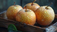 a group of apples in a basket