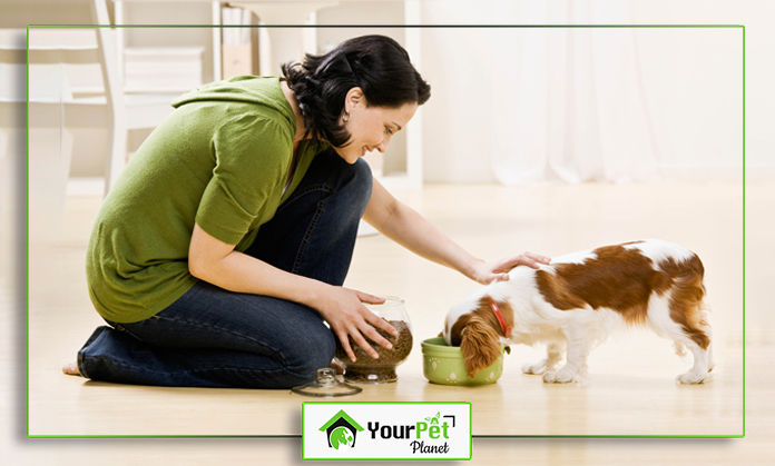 a woman feeding a dog