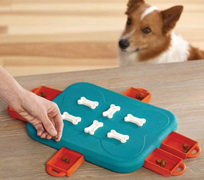 a dog looking at a dog eating bone shaped game