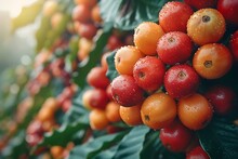 a bunch of orange and red fruits