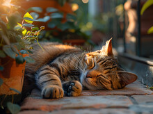 a cat sleeping on a brick surface