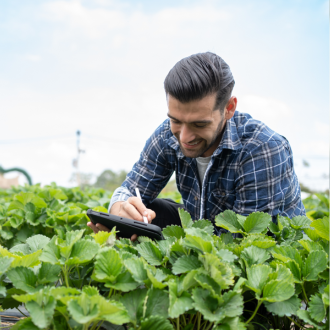 a man writing on a tablet in a field of plants