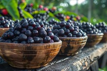 a group of bowls of blueberries