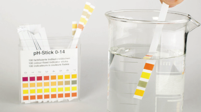 a test strips in a beaker