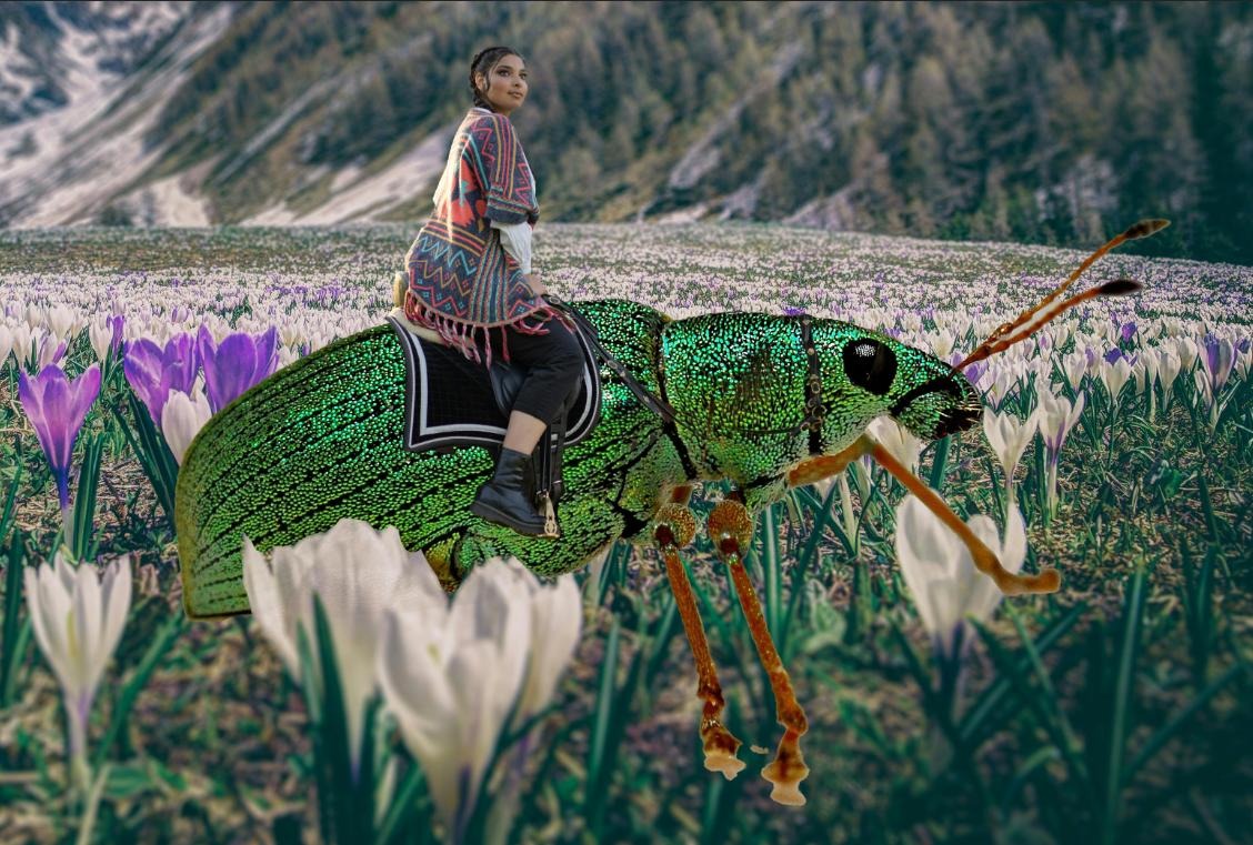 a woman riding a beetle