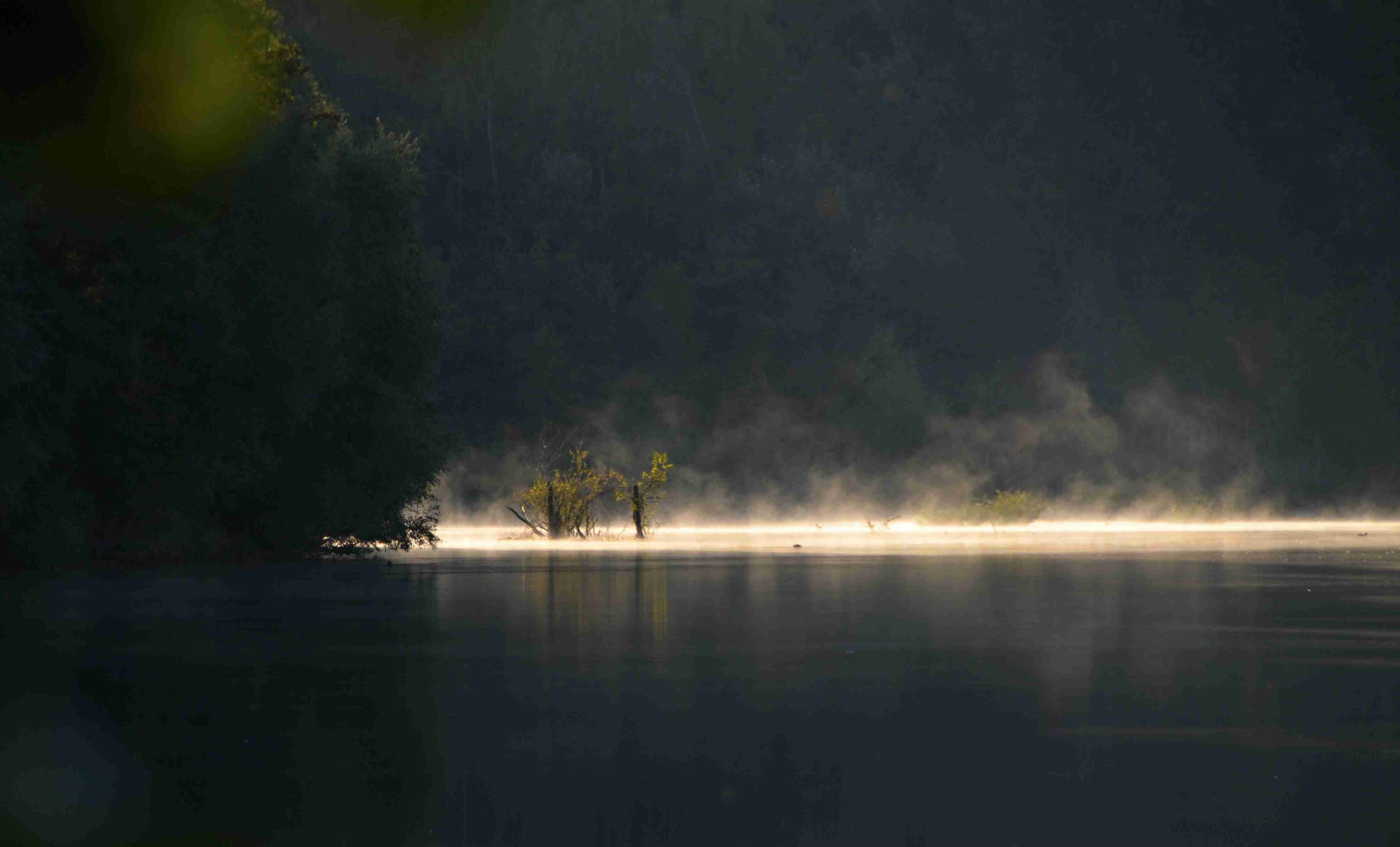 a foggy lake with trees and fog