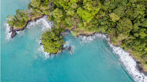 a blue water with trees and rocks