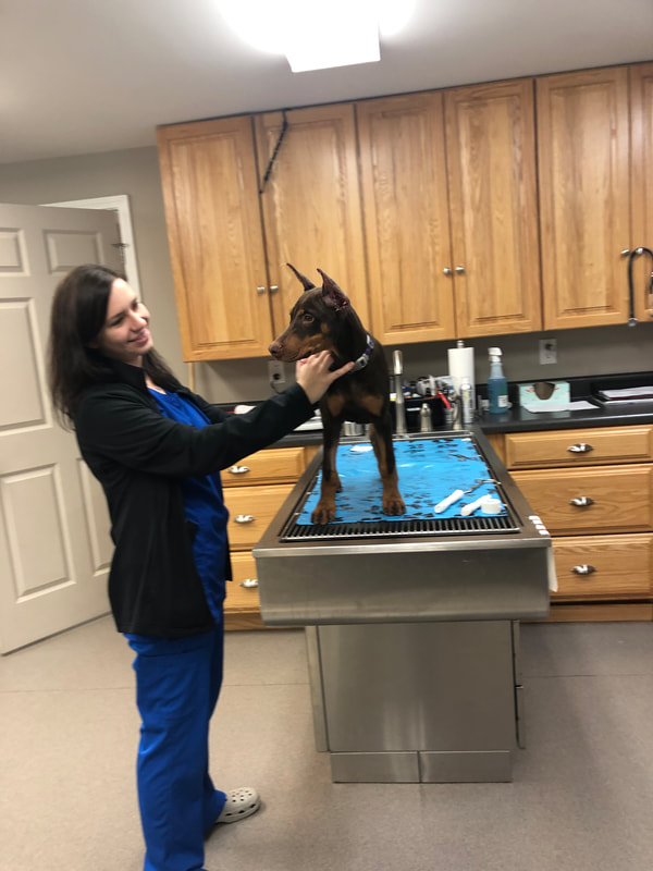 a woman holding a dog on a table