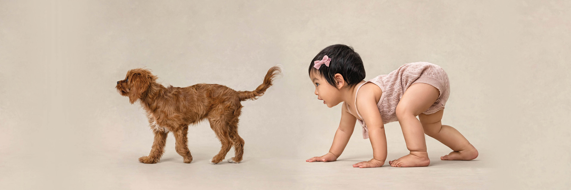 a baby crawling on the ground next to a dog