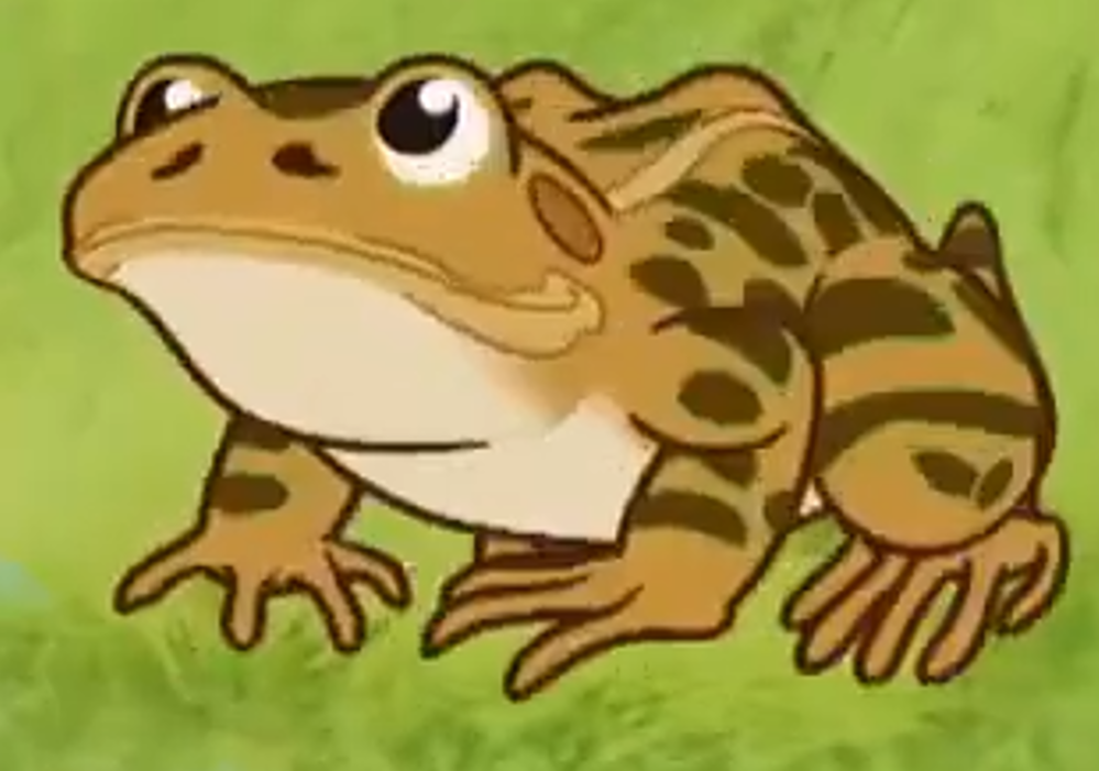 a cartoon of a frog