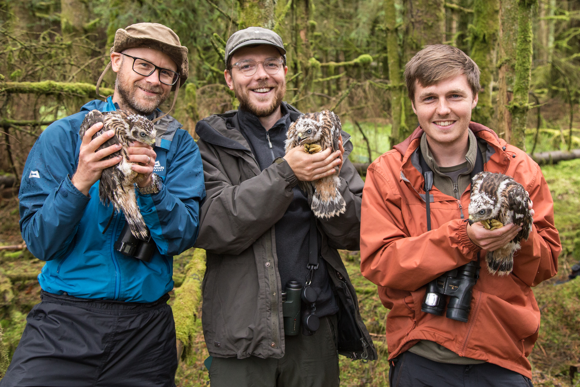 a group of men holding owls in the woods