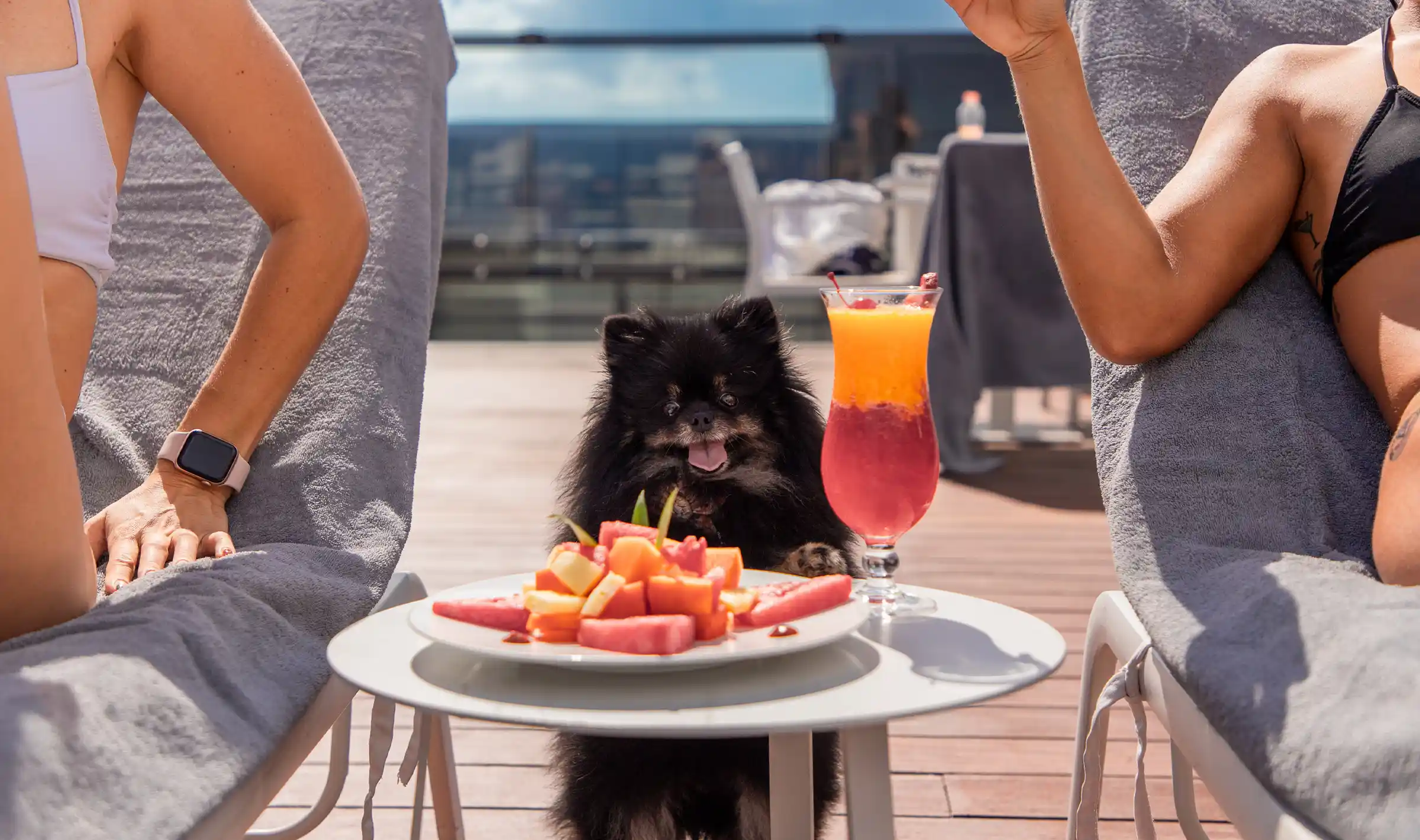 a dog sitting at a table with a plate of fruit and a drink