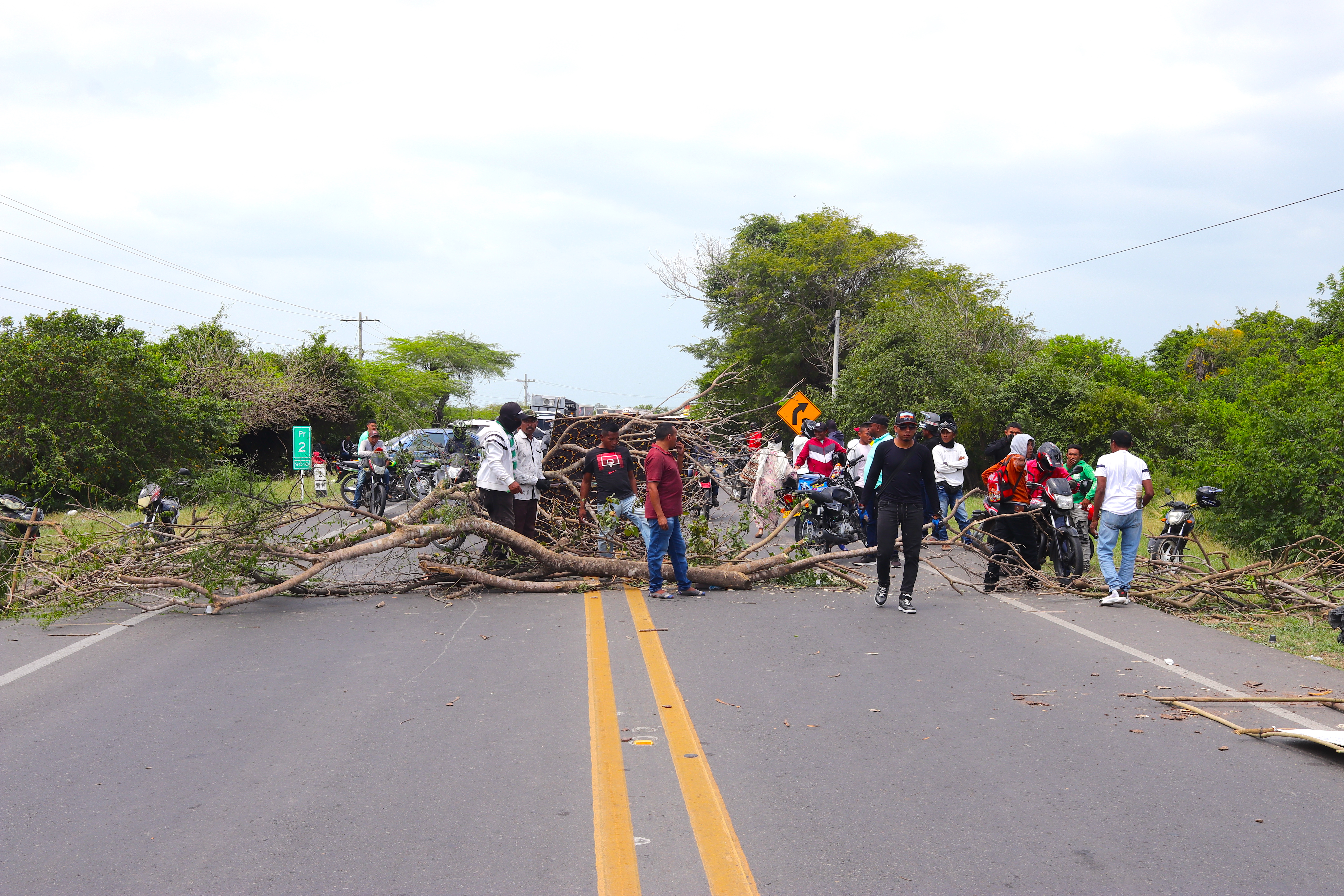 a group of people standing on the side of a road with a fallen tree