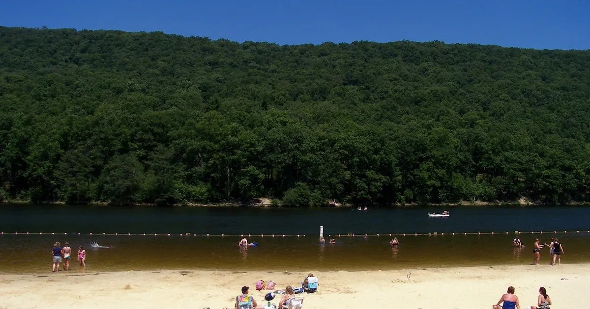 a beach with people swimming in water