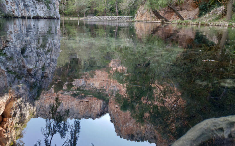 a body of water with a bridge and trees