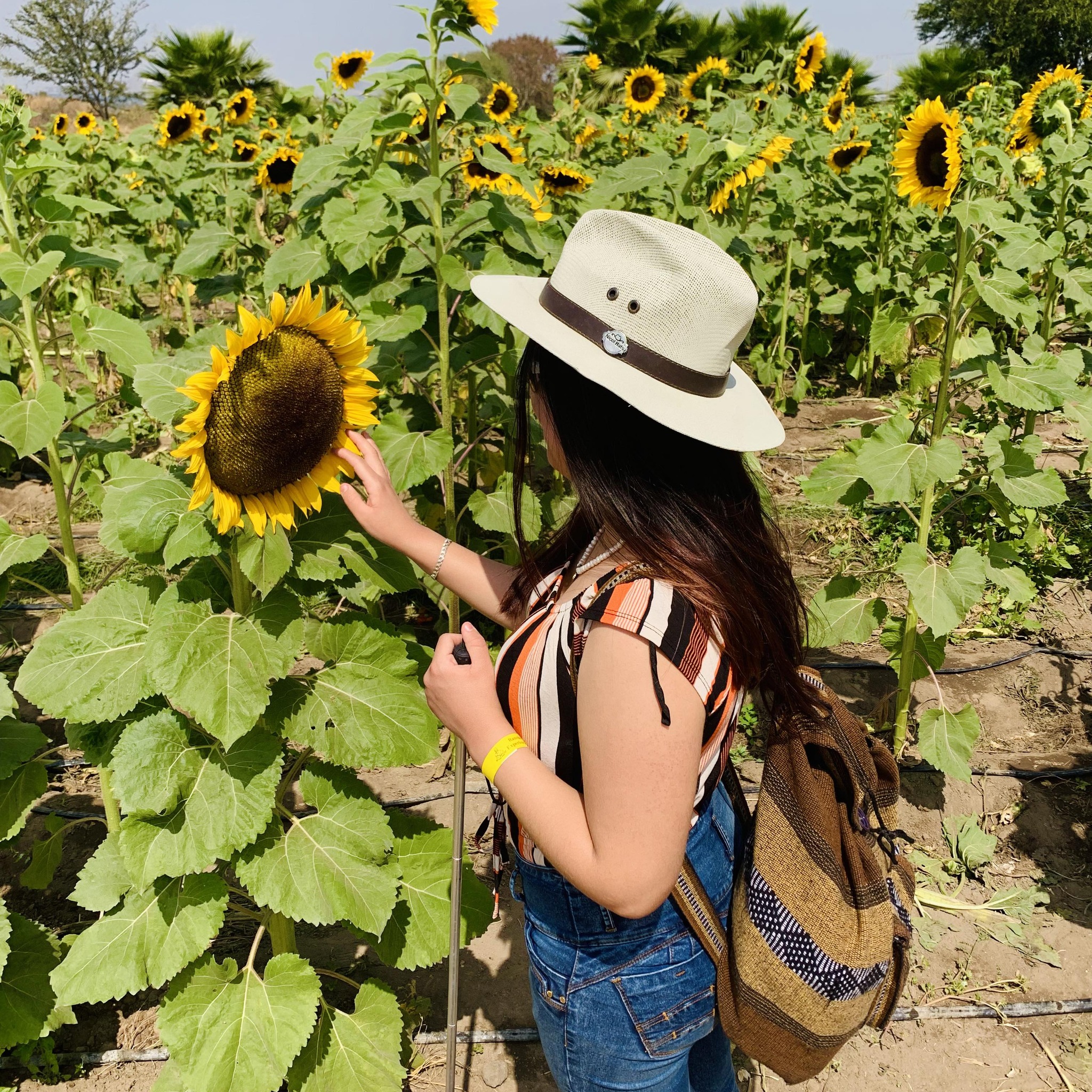a woman in a hat touching a sunflower