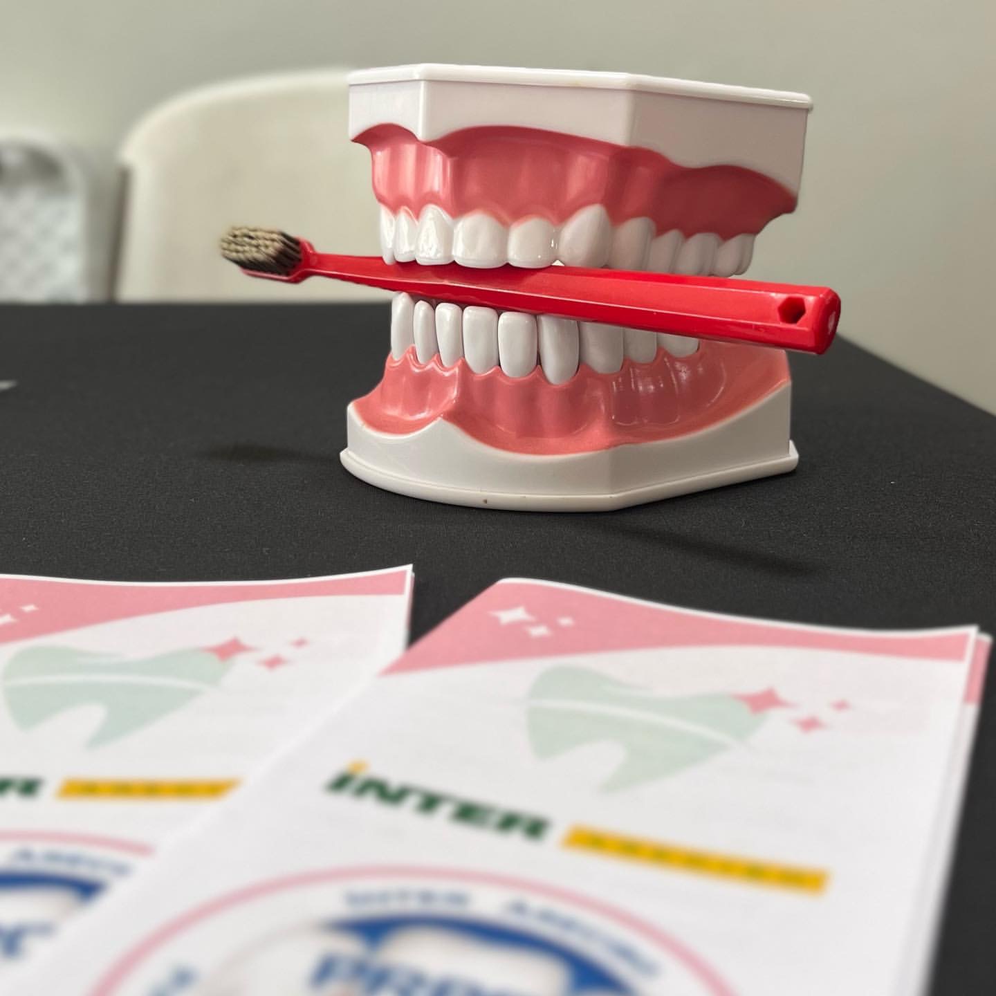 a toothbrush in a model of a jaw