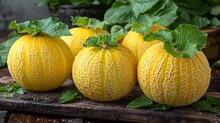 a group of yellow melons with green leaves