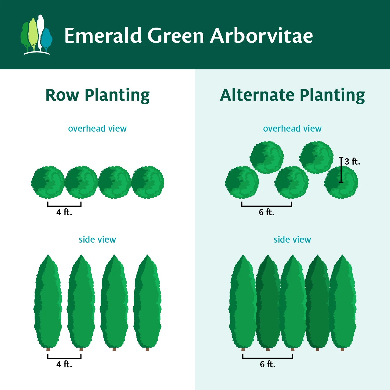 a diagram of different trees