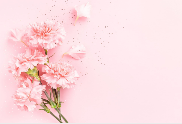 a group of pink flowers on a pink background